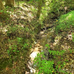 Photo #18 of 952 Oak, Rock Hill, SC