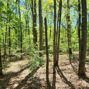 Photo #31 of 952 Oak, Rock Hill, SC