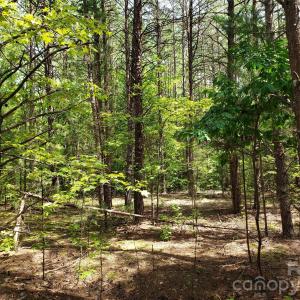 Photo #19 of 952 Oak, Rock Hill, SC