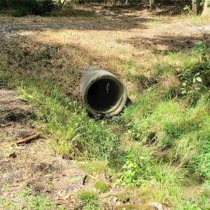 Photo #26 of 952 Oak, Rock Hill, SC