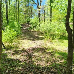 Photo #36 of 952 Oak, Rock Hill, SC