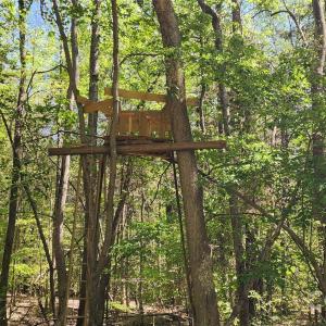 Photo #16 of 952 Oak, Rock Hill, SC