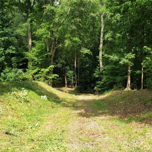 Photo #10 of 952 Oak, Rock Hill, SC