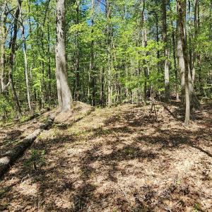 Photo #33 of 952 Oak, Rock Hill, SC