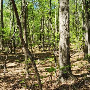 Photo #35 of 952 Oak, Rock Hill, SC