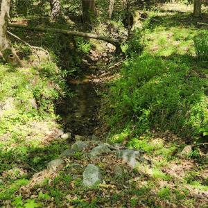 Photo #30 of 952 Oak, Rock Hill, SC