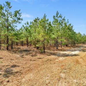 Photo #11 of 931 Charlie Johnson, Kershaw, SC