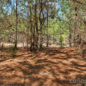 Photo #21 of 931 Charlie Johnson, Kershaw, SC
