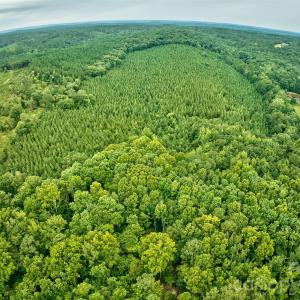 Photo #12 of 21 US Highway 21, Ridgeway, SC