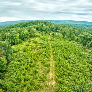 Photo #17 of 21 US Highway 21, Ridgeway, SC