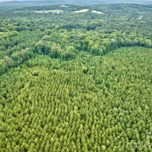 Photo #9 of 21 US Highway 21, Ridgeway, SC