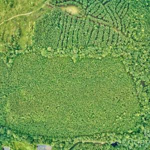 Photo #16 of 21 US Highway 21, Ridgeway, SC