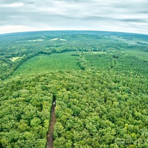 Photo #22 of 21 US Highway 21, Ridgeway, SC