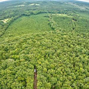 Photo #19 of 21 US Highway 21, Ridgeway, SC