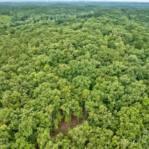 Photo #7 of 21 US Highway 21, Ridgeway, SC