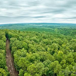 Photo #21 of 21 US Highway 21, Ridgeway, SC