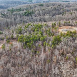 Photo #2 of 11490 King James, Davidson, NC