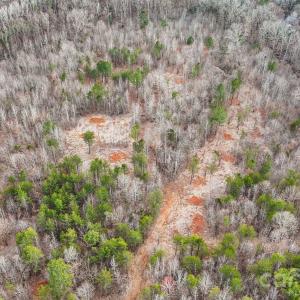 Photo #2 of 11550 King James, Davidson, NC