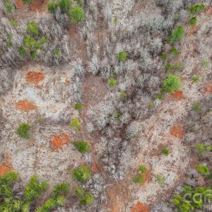 Photo #3 of 11550 King James, Davidson, NC