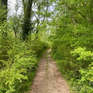 Photo #14 of 82.5 Acres Riverlane, Rock Hill, SC