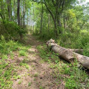 Photo #4 of 82.5 Acres Riverlane, Rock Hill, SC