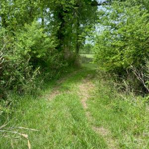 Photo #11 of 82.5 Acres Riverlane, Rock Hill, SC