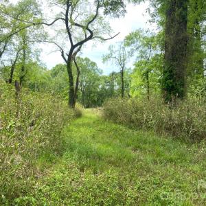 Photo #12 of 82.5 Acres Riverlane, Rock Hill, SC