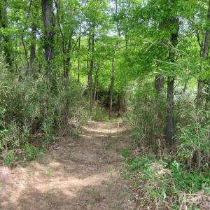 Photo #9 of 82.5 Acres Riverlane, Rock Hill, SC