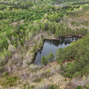 Photo #28 of 6377 Highway 52, Cheraw, SC