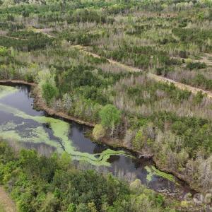 Photo #15 of 6377 Highway 52, Cheraw, SC