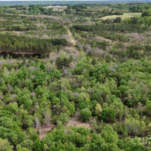 Photo #33 of 6377 Highway 52, Cheraw, SC