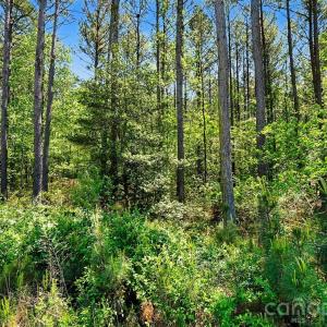 Photo #9 of 4337 Persimmon, Lancaster, SC