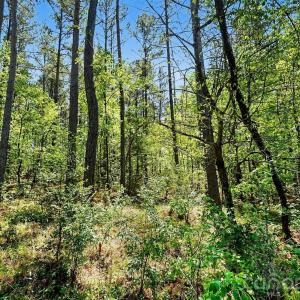 Photo #8 of 4337 Persimmon, Lancaster, SC