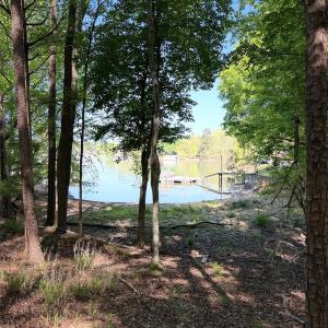 Photo #4 of Sandlapper, York, SC