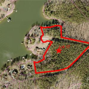 Photo #1 of Sandlapper, York, SC