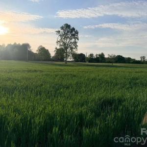 Photo #3 of Powell, Woodleaf, NC