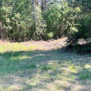 Photo #4 of White Store, Polkton, NC