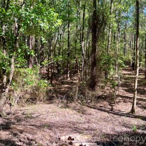 Photo #1 of White Store, Polkton, NC