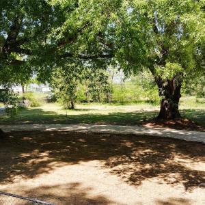 Photo #5 of 6602 Macedonia Church, Concord, NC