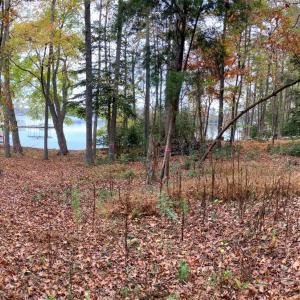 Photo #6 of 110 Watch Harbor, Badin Lake, NC