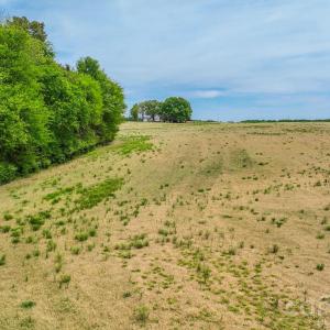 Photo #7 of Wolf Pond, Monroe, NC