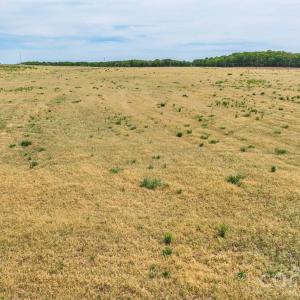 Photo #9 of Wolf Pond, Monroe, NC