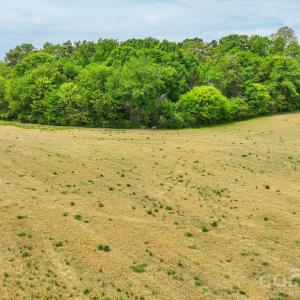 Photo #8 of Wolf Pond, Monroe, NC