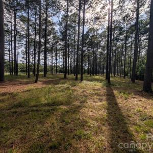 Photo #2 of Blessed Hope, York, SC