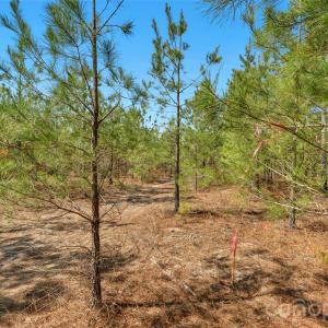 Photo #11 of 931 Charlie Johnson, Kershaw, SC