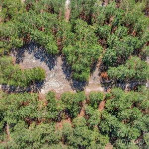 Photo #46 of 931 Charlie Johnson, Kershaw, SC