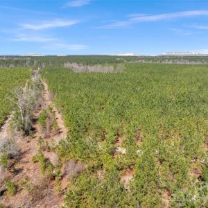 Photo #40 of 931 Charlie Johnson, Kershaw, SC