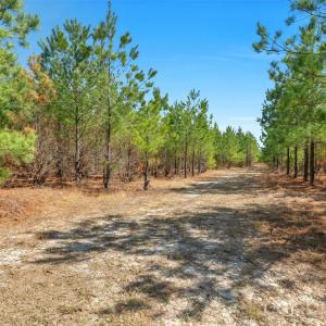 Photo #16 of 931 Charlie Johnson, Kershaw, SC