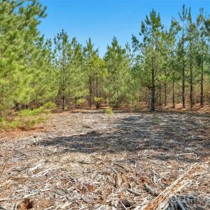 Photo #29 of 931 Charlie Johnson, Kershaw, SC