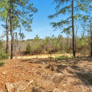 Photo #33 of 931 Charlie Johnson, Kershaw, SC